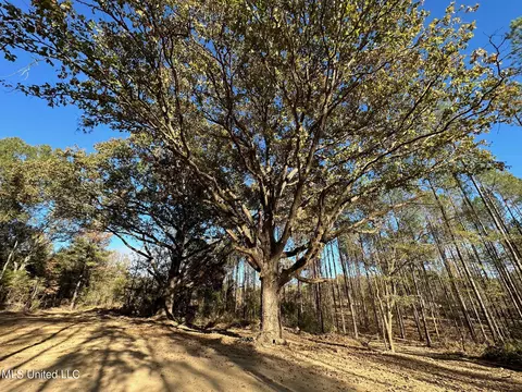 1 Cr 4137, Sallis, MS 39160 photo 10