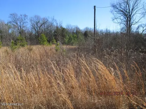 lot11 Forest Rdg, Sarah, MS 38665