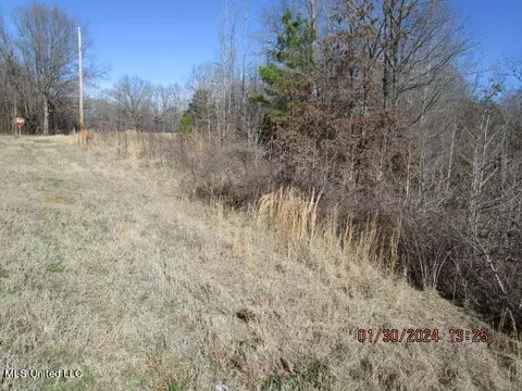 lot12 Forest Rdg, Sarah, MS 38665