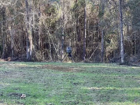 Dry Stone Road, Lena, MS 39094 photo 2