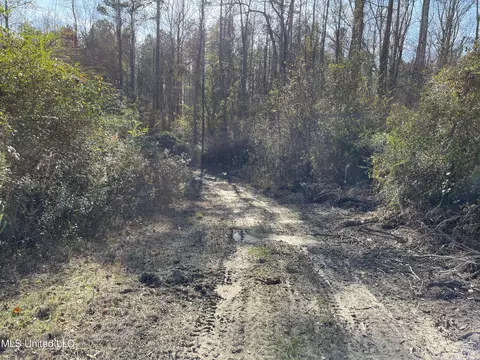 Dry Stone Road, Lena, MS 39094 photo 4