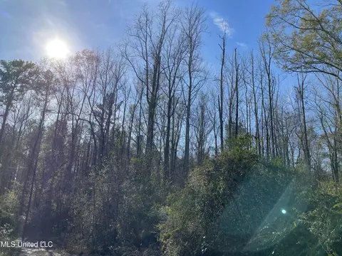 Dry Stone Road, Lena, MS 39094 photo 5