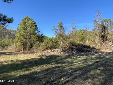 Dry Stone Road, Lena, MS 39094 photo 3