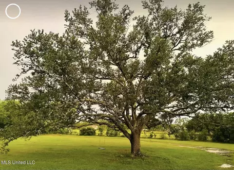 10182 Jim Ramsay Loop, Vancleave, MS 39565 photo 17