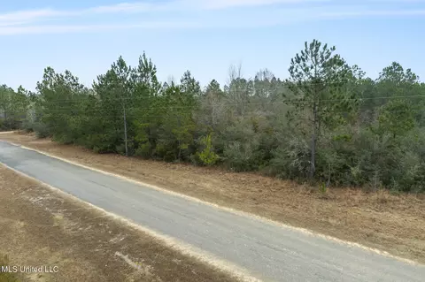000 Ccc Rd, Perkinston, MS 39573 photo 7