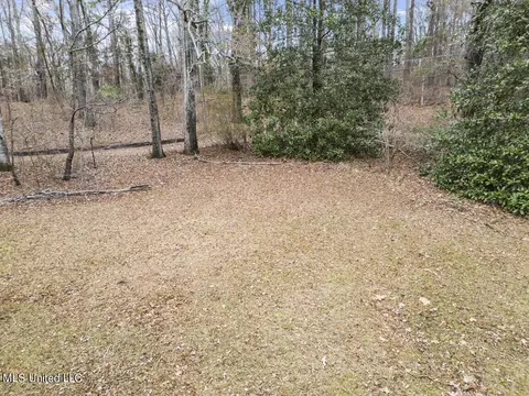 103 Sunset Ln, Madison, MS 39110 photo 28