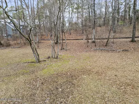 103 Sunset Ln, Madison, MS 39110 photo 26