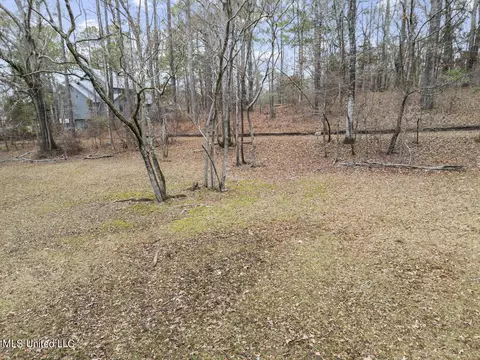 103 Sunset Ln, Madison, MS 39110 photo 13