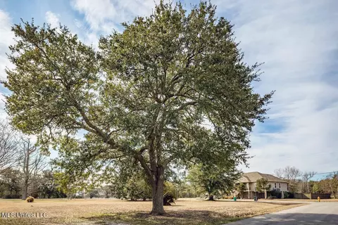 10071 Doty St, Biloxi, MS 39532 photo 5