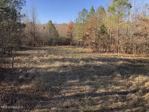 Sand Hill Rd, West, MS 39192 photo 3