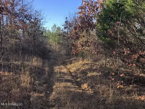 Sand Hill Rd, West, MS 39192 photo 2