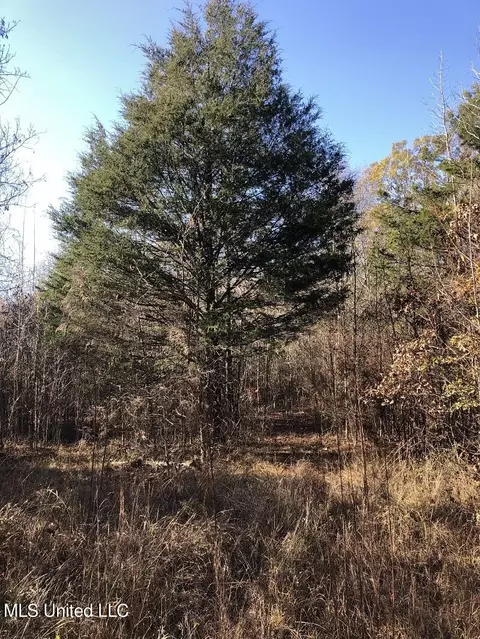 Sand Hill Rd, West, MS 39192 photo 7