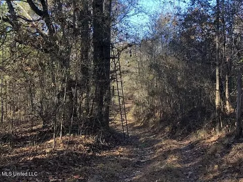 Sand Hill Rd, West, MS 39192 photo 4
