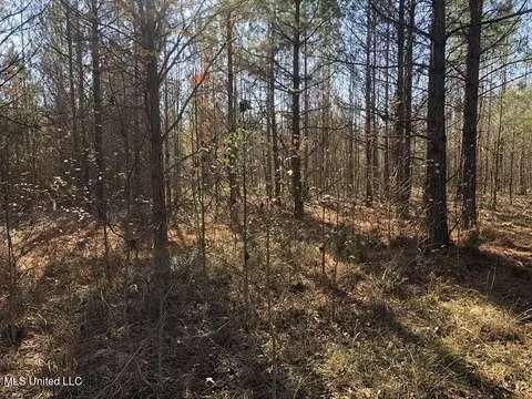 Sand Hill Rd, West, MS 39192 photo 5