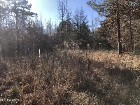Sand Hill Rd, West, MS 39192 photo 6