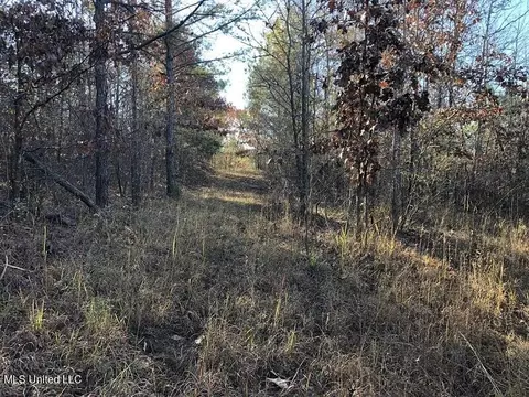 Sand Hill Rd, West, MS 39192