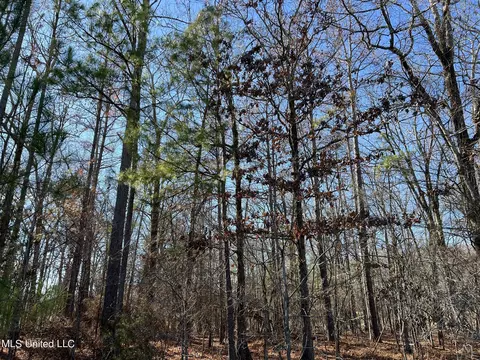 108 Forest Lake Dr, Byram, MS 39272 photo 6