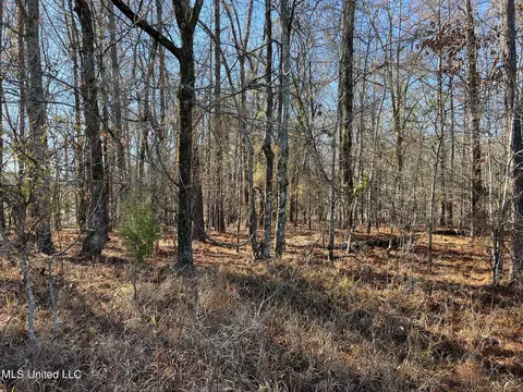 108 Forest Lake Dr, Byram, MS 39272 photo 7