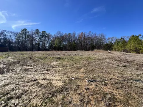 108 Forest Lake Dr, Byram, MS 39272 photo 3