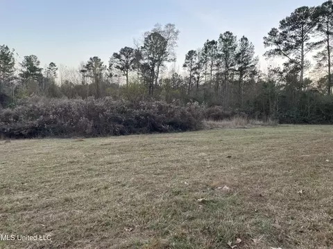 Lenzie Brady Road, Braxton, MS 39044 photo 5