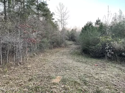 Lenzie Brady Road, Braxton, MS 39044 photo 4