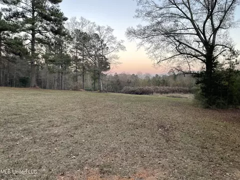 Lenzie Brady Road, Braxton, MS 39044
