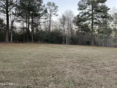 Lenzie Brady Road, Braxton, MS 39044 photo 2