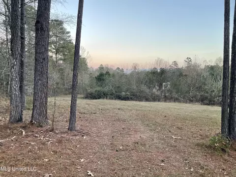 Lenzie Brady Road, Braxton, MS 39044 photo 3