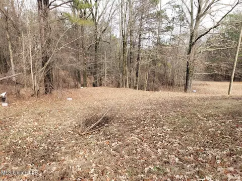 193 Chickasaw Ridge Rdg, Pope, MS 38658 photo 8
