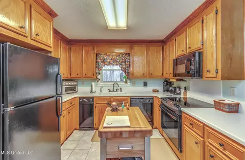 17 Bastille St, Brandon, MS 39047 photo 15