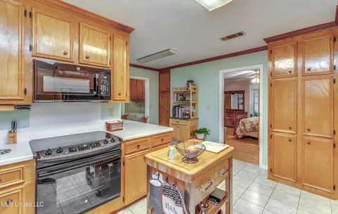 17 Bastille St, Brandon, MS 39047 photo 17