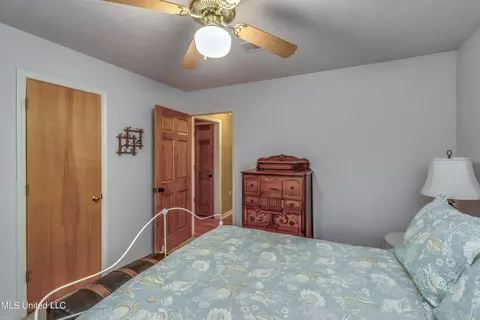 17 Bastille St, Brandon, MS 39047 photo 29