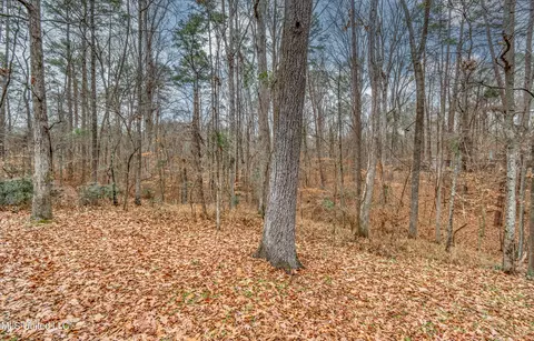 17 Bastille St, Brandon, MS 39047 photo 5