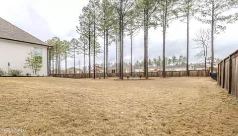 205 Oakside Trl, Madison, MS 39110 photo 66