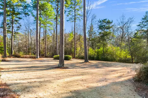 14 Montgomery Ln, Canton, MS 39046 photo 57