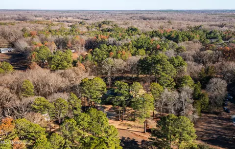14 Montgomery Ln, Canton, MS 39046 photo 67