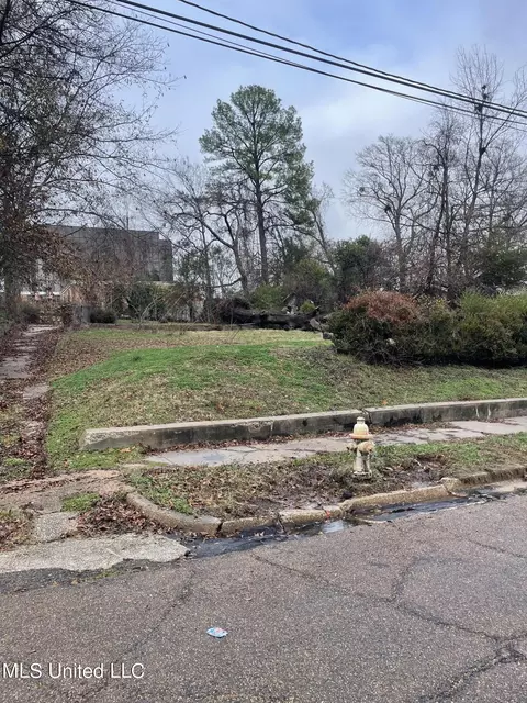 736 Euclid Ave, Jackson, MS 39202 photo 4