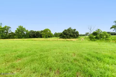 76 Ac Highway 63 S, Lucedale, MS 39452 photo 28
