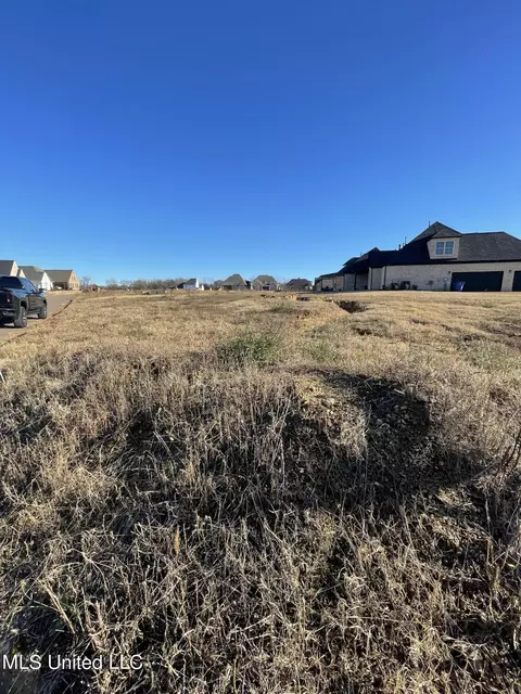 S Bolivar Trail, Olive Branch, MS 38654