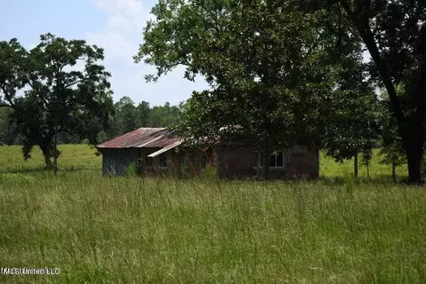 Tba County Line Road Road, Wiggins, MS 39577 photo 3