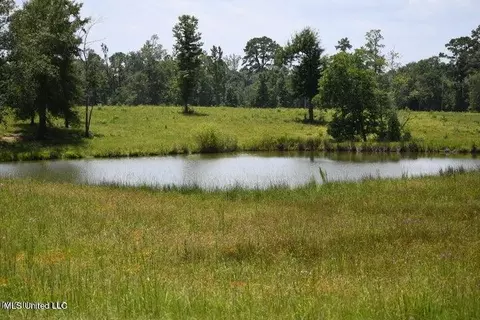 Tba County Line Road Road, Wiggins, MS 39577
