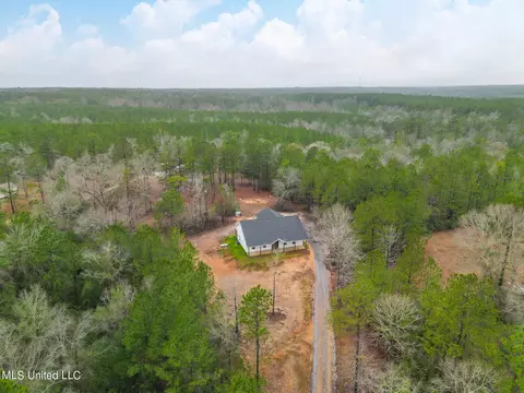 24 Tall Pine Dr, Wiggins, MS 39577 photo 2