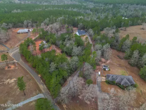 24 Tall Pine Dr, Wiggins, MS 39577 photo 21