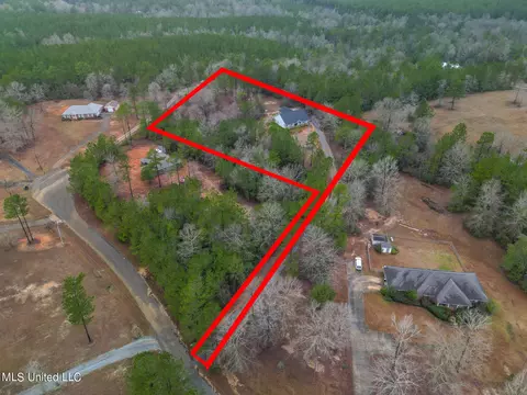 24 Tall Pine Dr, Wiggins, MS 39577 photo 3