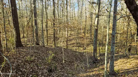 Campbell Rd, Lexington, MS 39095 photo 31