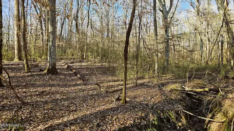 Campbell Rd, Lexington, MS 39095 photo 38
