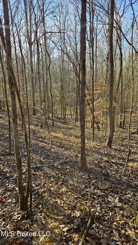 Campbell Rd, Lexington, MS 39095 photo 34