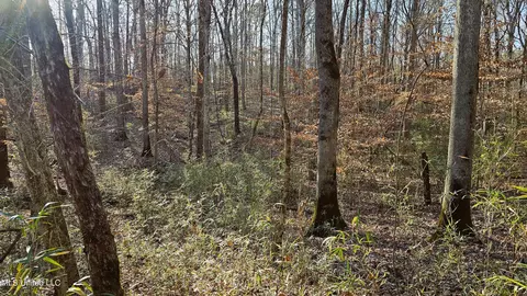 Campbell Rd, Lexington, MS 39095 photo 39