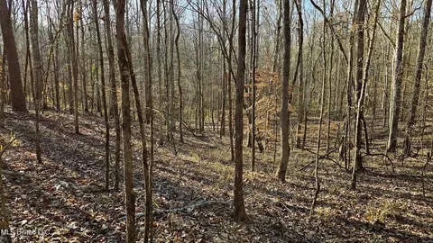 Campbell Rd, Lexington, MS 39095 photo 35