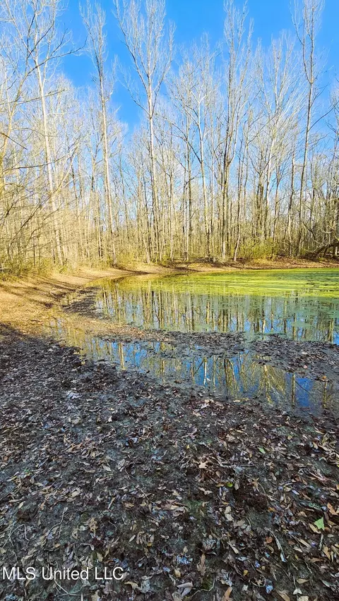 Campbell Rd, Lexington, MS 39095 photo 12
